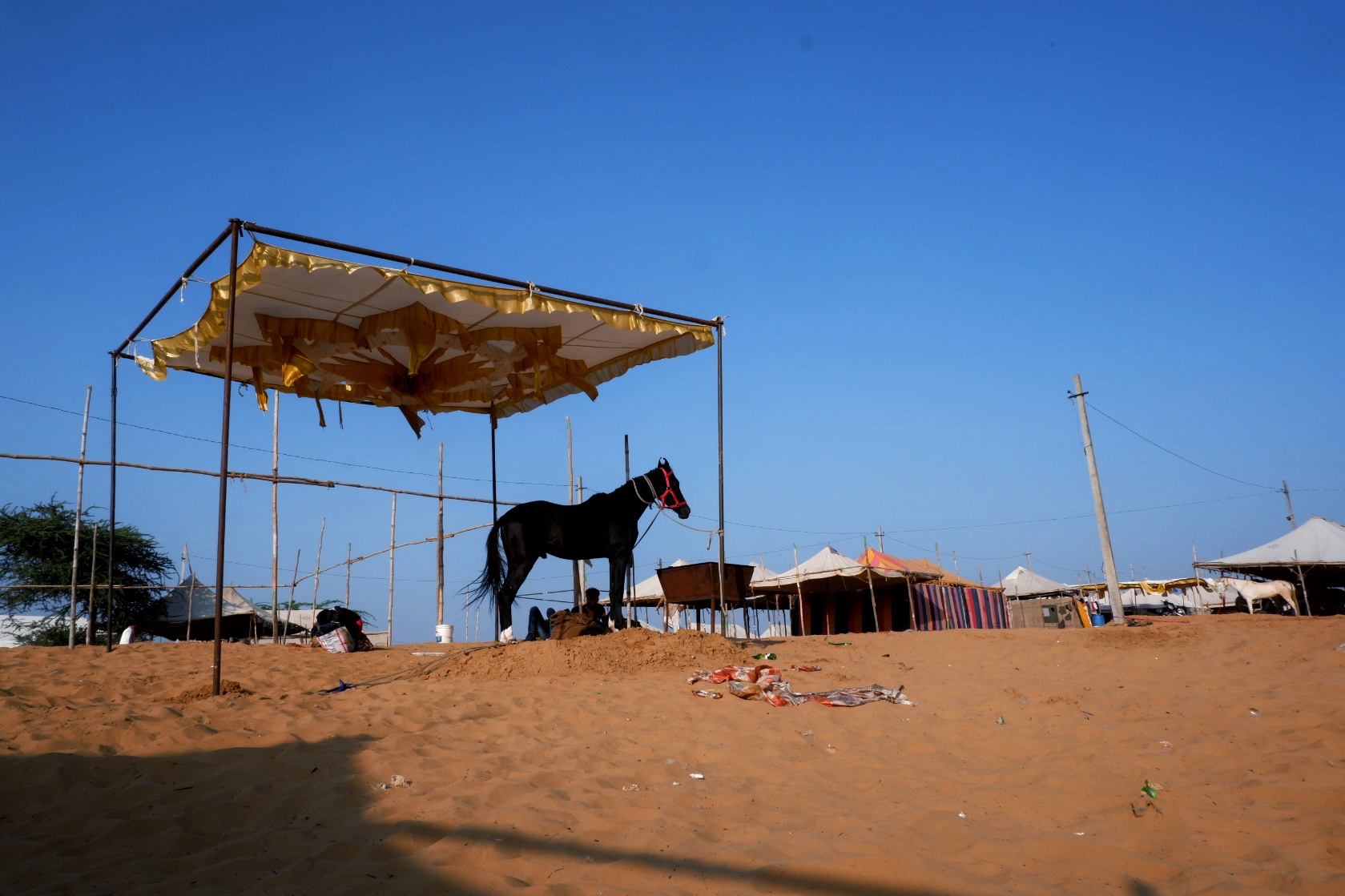 Life in Pushkar photograph 7